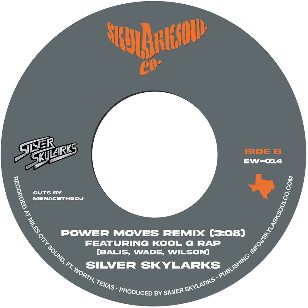 the album cover for Silver Skylarks - Power Moves