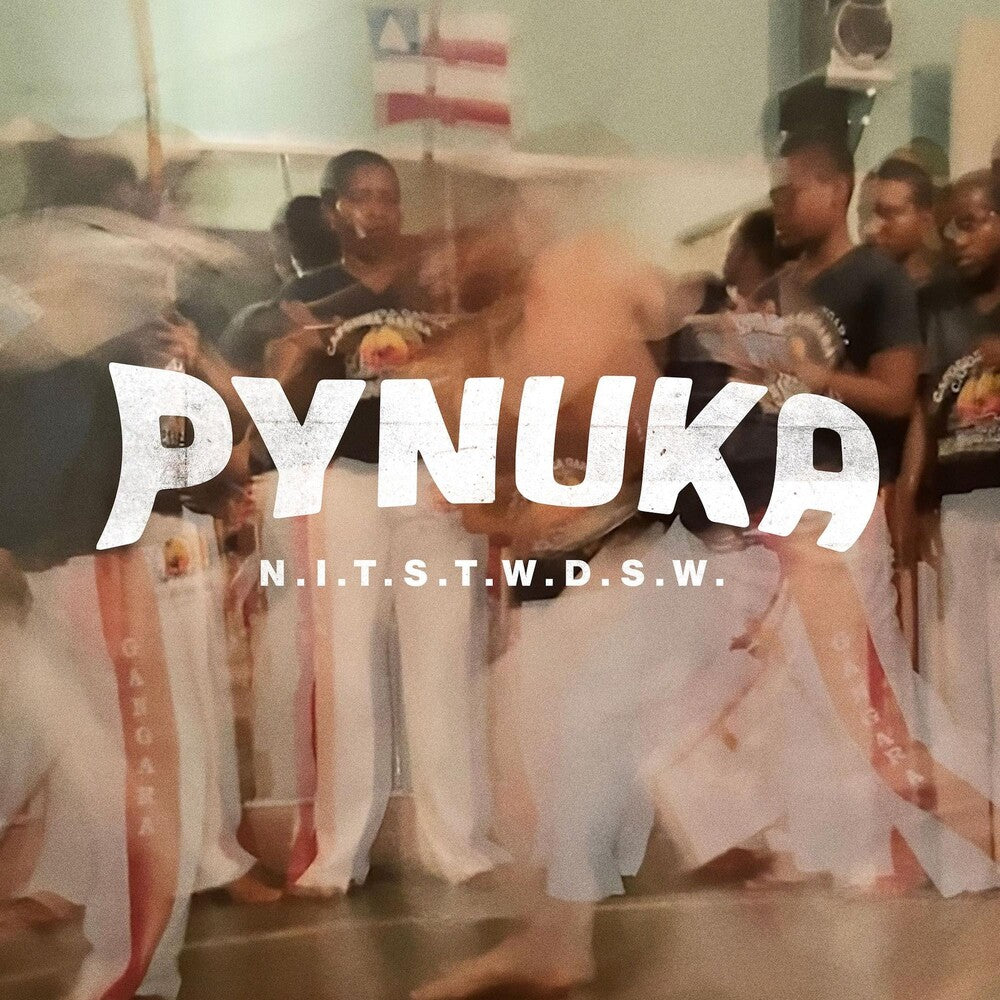 the album cover for Pynuka - N.I.T.S.T.W.D.S.W.