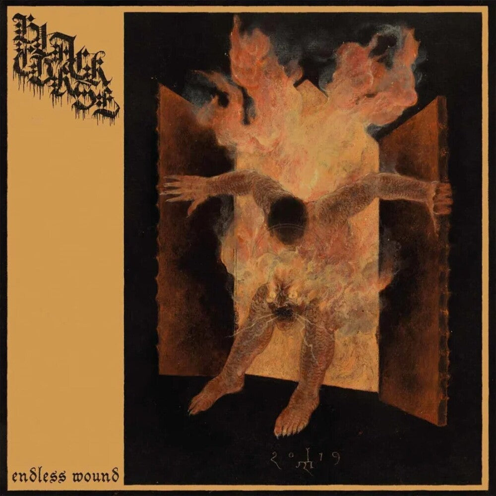the album cover for Black Curse - Endless Wound [Digipak]