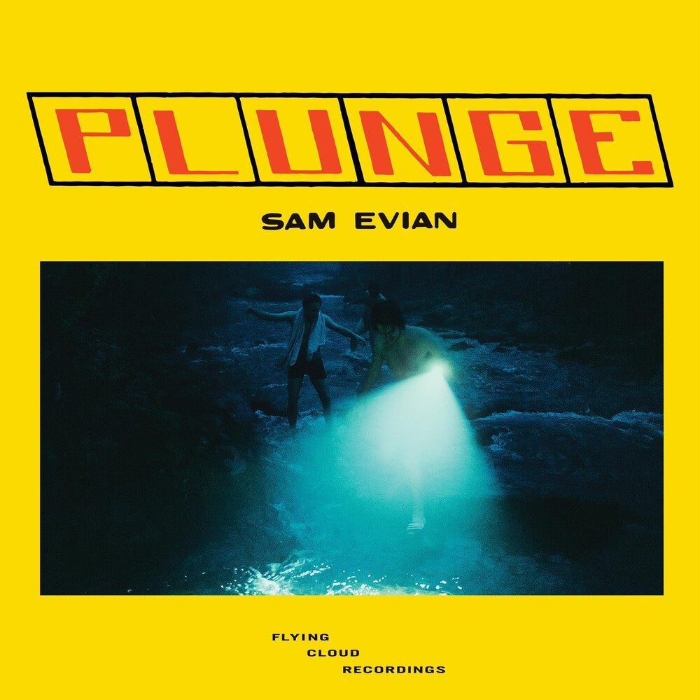 the album cover for Sam Evian - Plunge