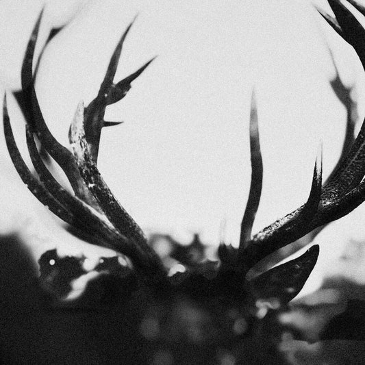 the album cover for Ihsahn - Ihsahn