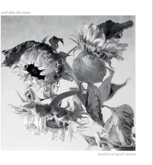 the album cover for And Also The Trees - Mother-Of-Pearl Moon (Uk)