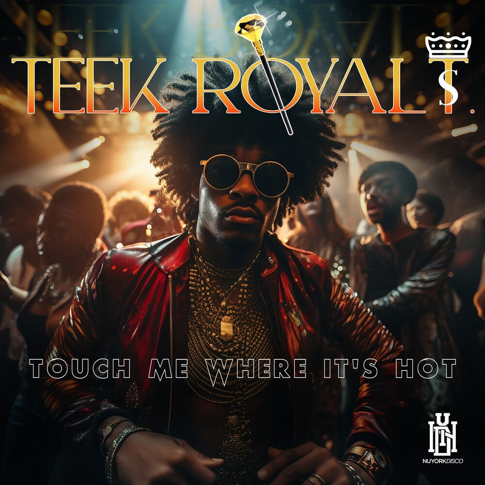 the album cover for Teek Royal T. - Touch Me Where It's Hot (Mod)
