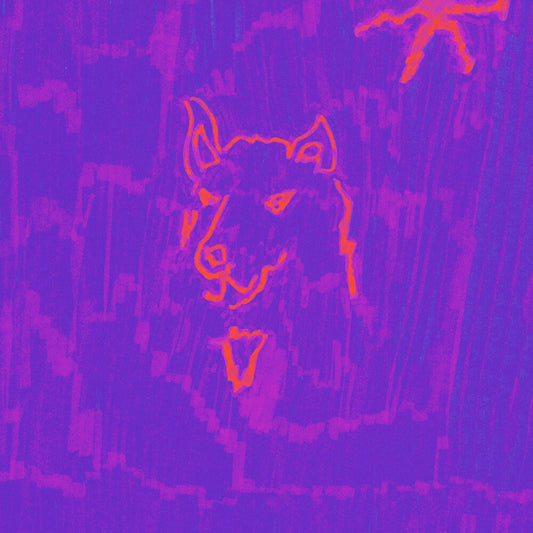 the album cover for Dehd - Poetry [CD]