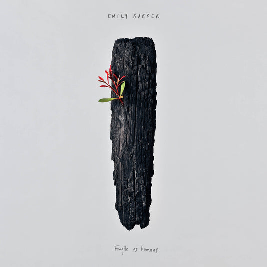 the album cover for Emily Barker - Fragile As Humans