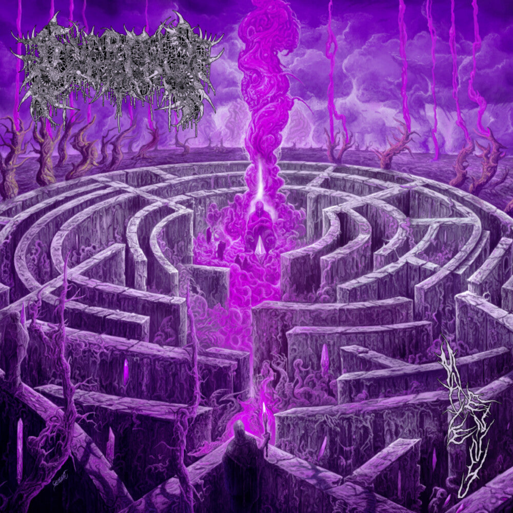 the album cover for Civerous - Maze Envy