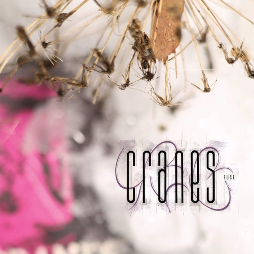 the album cover for Cranes - Fuse