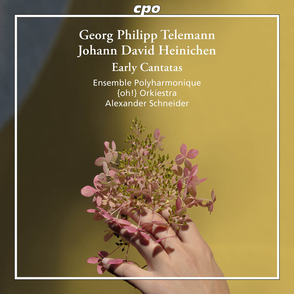the album cover for Heinichen / Telemann / Ensemble Polyharmonique - Early Cantatas
