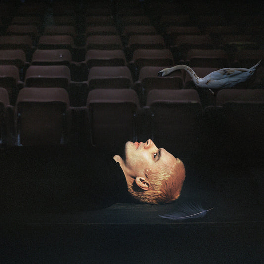 the album cover for Sega Bodega - Dennis