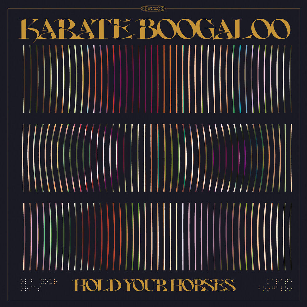 the album cover for Karate Boogaloo - Hold Your Horses