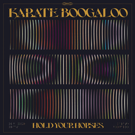 the album cover for Karate Boogaloo - Hold Your Horses