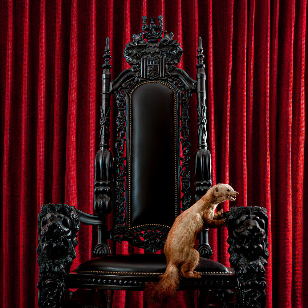 the album cover for Brume - Marten [Deluxe] [Limited Edition] (Coll) (Spkg)