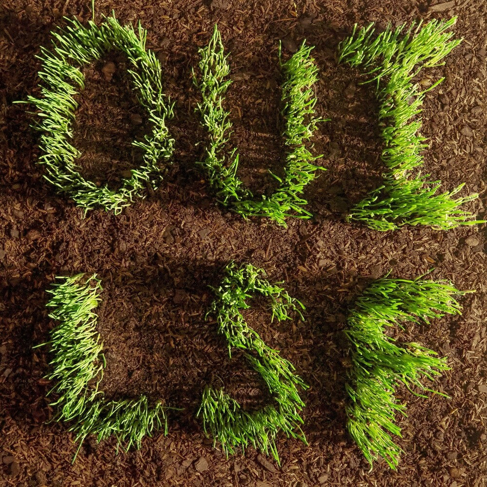 the album cover for Les Savy Fav - OUI, LSF [CD]