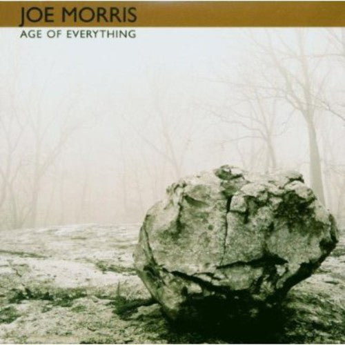 the album cover for Joe Morris Trio - Age of Everything
