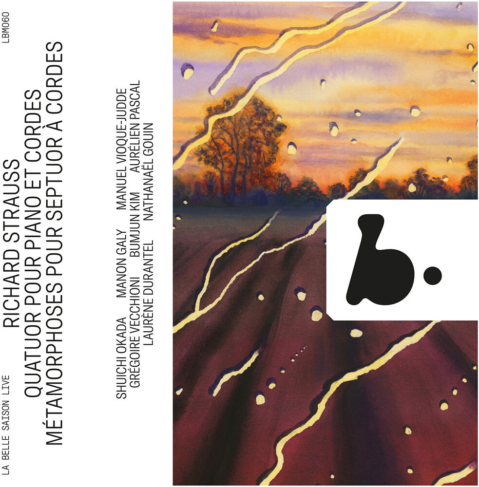 the album cover for Strauss / Gouin / Durantel - Quatuor Pour Piano Et Cordes - Metamorphoses