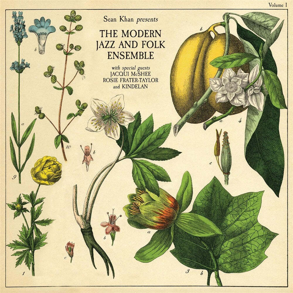 the album cover for Sean Khan - Sean Khan Presents The Modern Folk & Jazz Ensemble