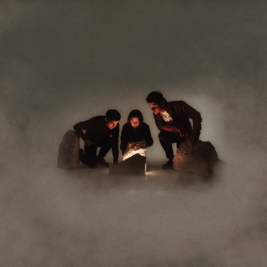 the album cover for Blind Seagull - Decade Of Effort (Uk)