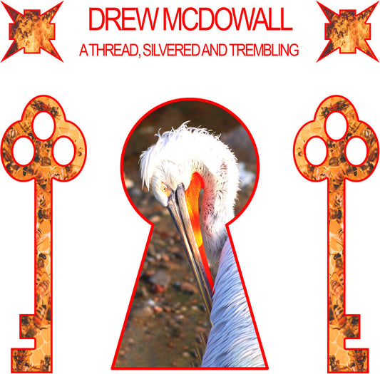 the album cover for Drew McDowall - Thread, Silvered And Trembling