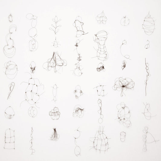 the album cover for Maria Reich - Interdependenzen