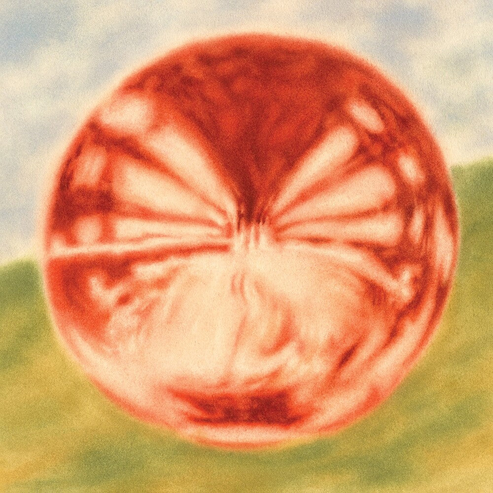 the album cover for Bloomsday - Heart Of The Artichoke