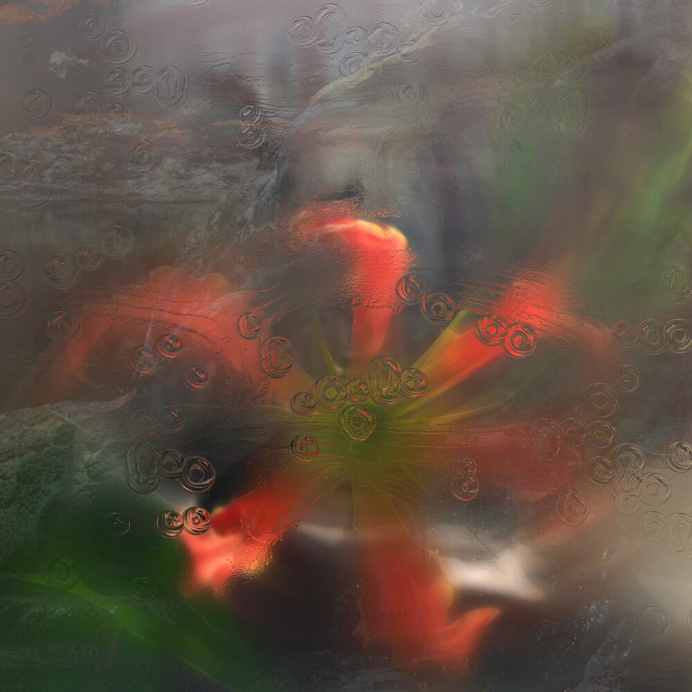 the album cover for Upsammy - Germ In A Population Of Buildings