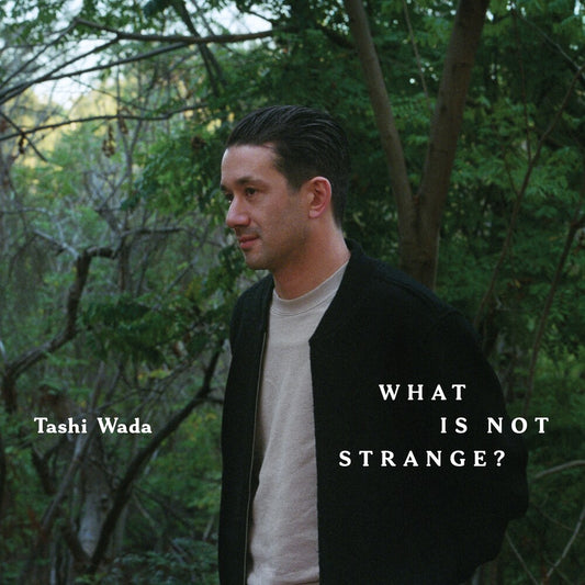 the album cover for Tashi Wada - What Is Not Strange