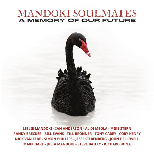 the album cover for Mandoki Soulmates - Memory Of Our Future