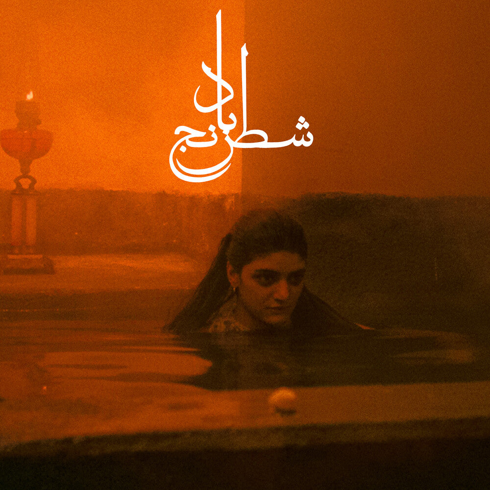 the album cover for Sheida Gharachedaghi & Mohammad Reza Aslani - Chess Of The Wind [Colored Vinyl]