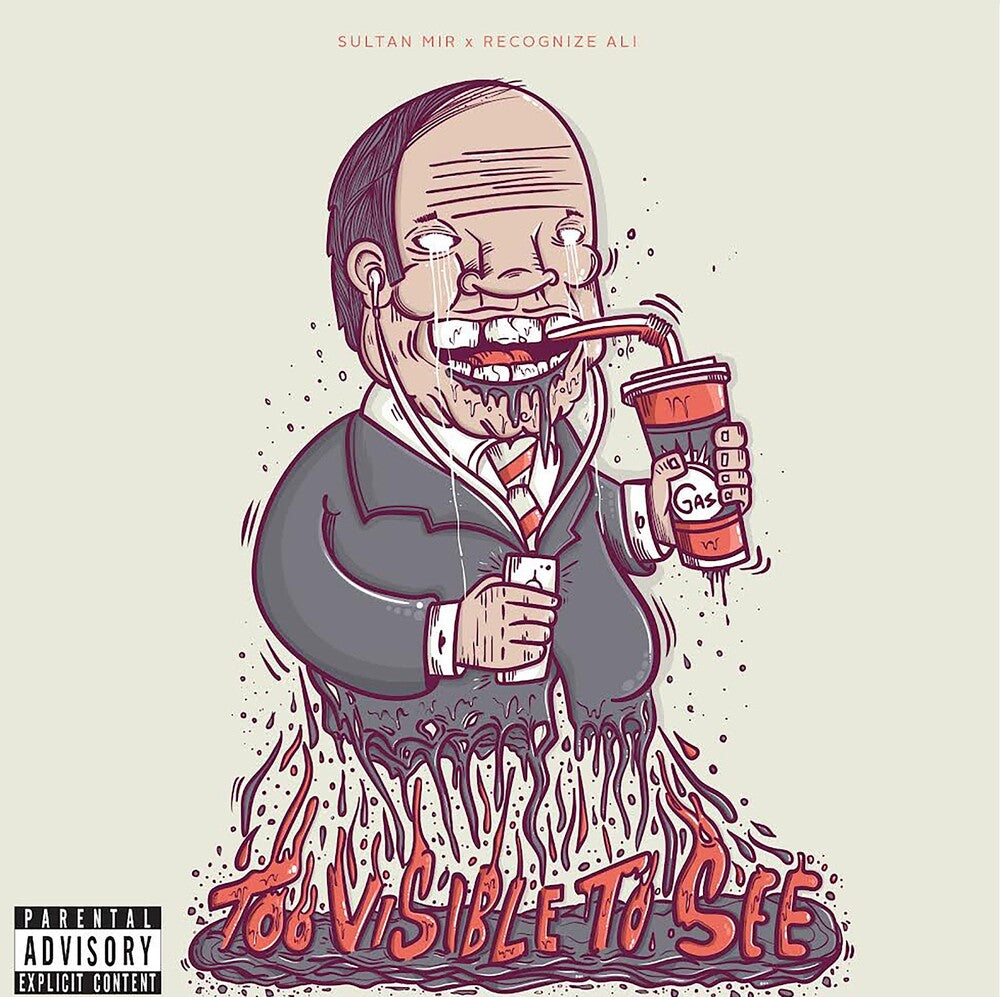 the album cover for Sultan Mir & Recognize Ali - Too Visible Too See