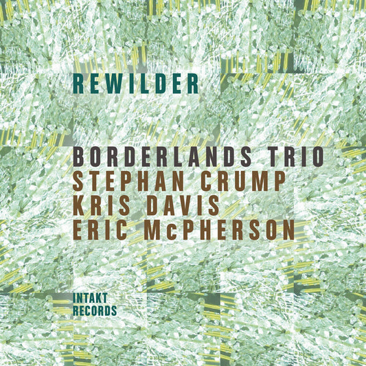 the album cover for Borderlands Trio - Rewilder