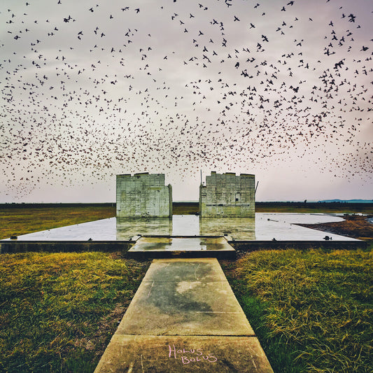 the album cover for Lord Buffalo - Holus Bolus (Gate)