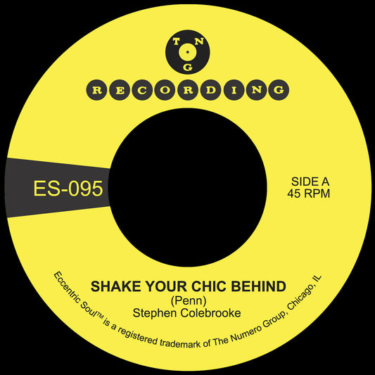 the album cover for Stephen Colebrooke - Shake Your Chic Behind / Stay Away From Music