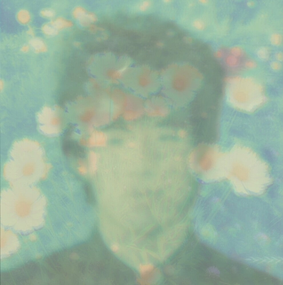 the album cover for Love Wonderland - Best Twilights Of Love Wonderland