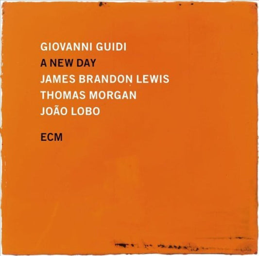 the album cover for Giovanni Guidi  / Lewis,James Brandon / Thomas - New Day