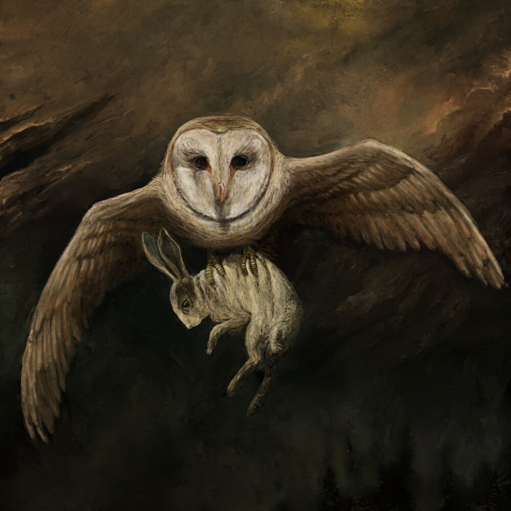 the album cover for OLiM - Because