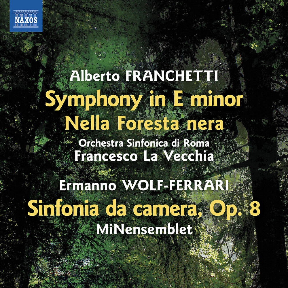 the album cover for Franchetti / Orchestra Sinfonica Di Roma - Symphony In E Minor Nella Foresta Nera