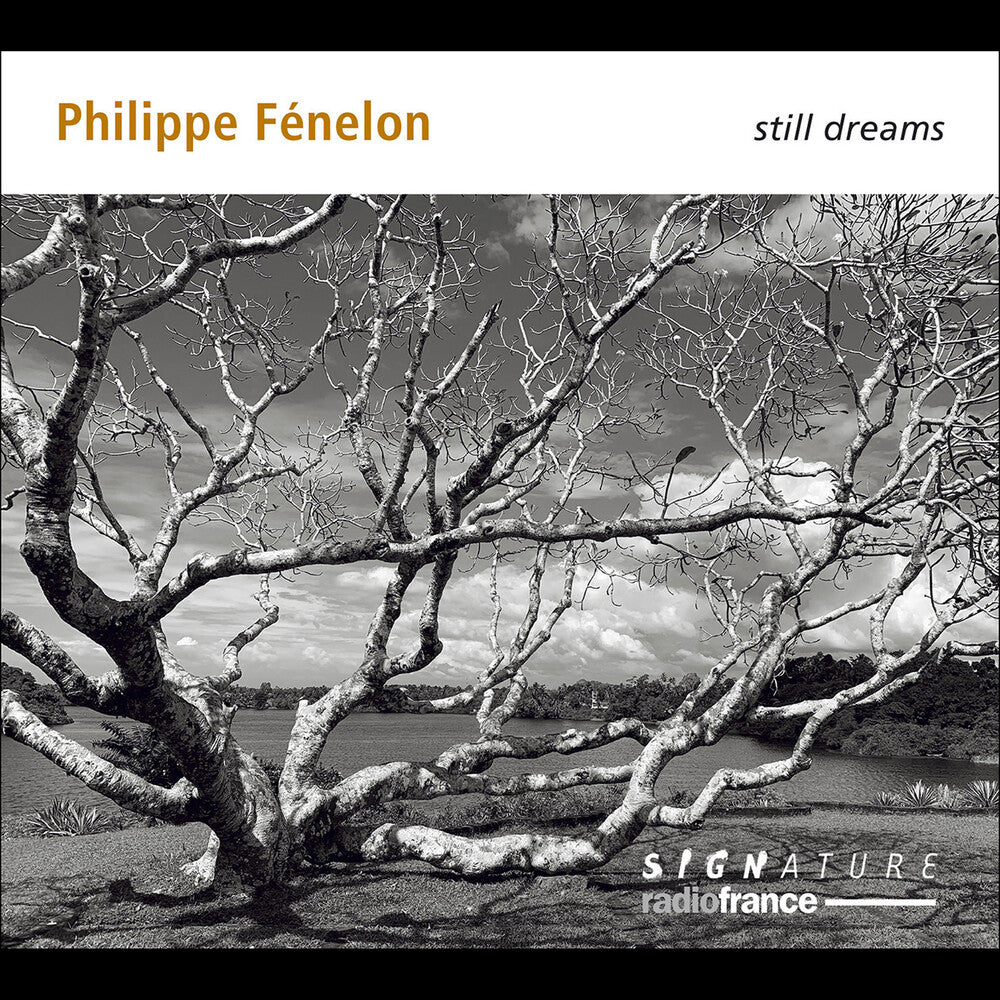 the album cover for Fenelon / Jodelet / Beltrando - Still Dreams