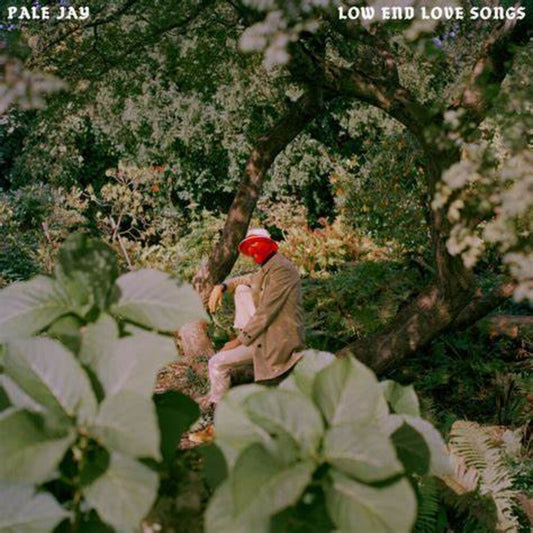 the album cover for Pale Jay - Low End Love Songs