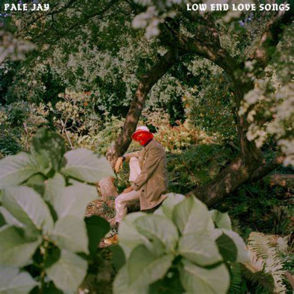 the album cover for Pale Jay - Low End Love Songs