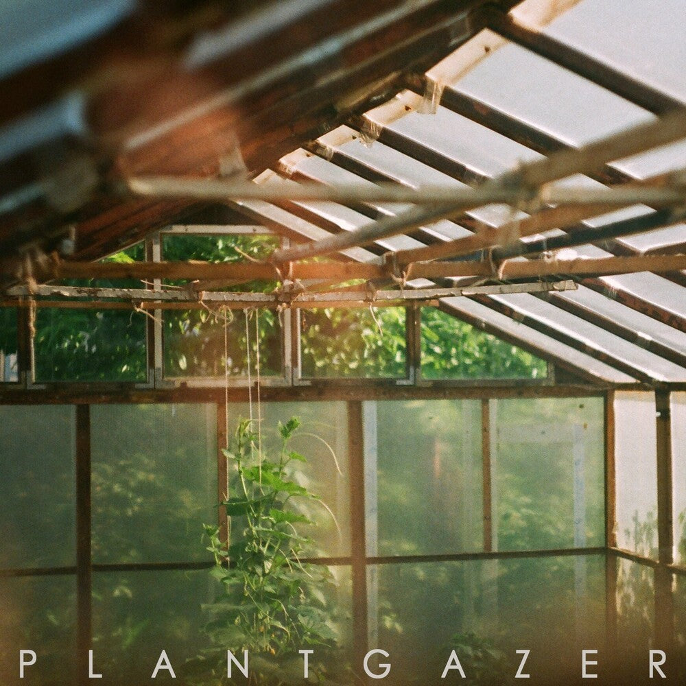 the album cover for Show Me A Dinosaur - Plantgazer
