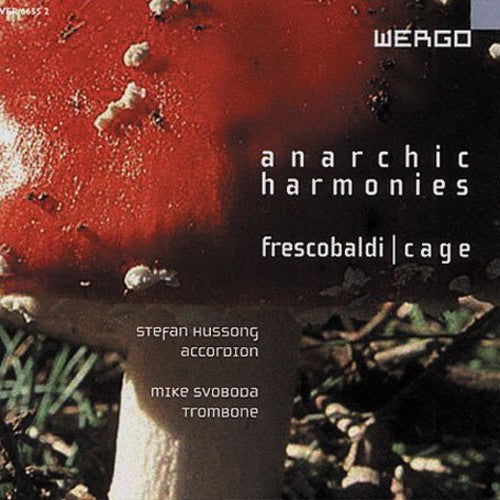 the album cover for STEFAN HUSSONG - Anarchic Harmonies