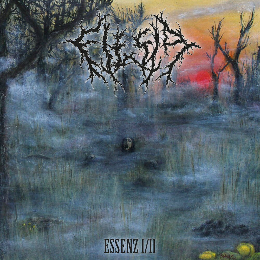 the album cover for Flesia - Essenz I/Ii