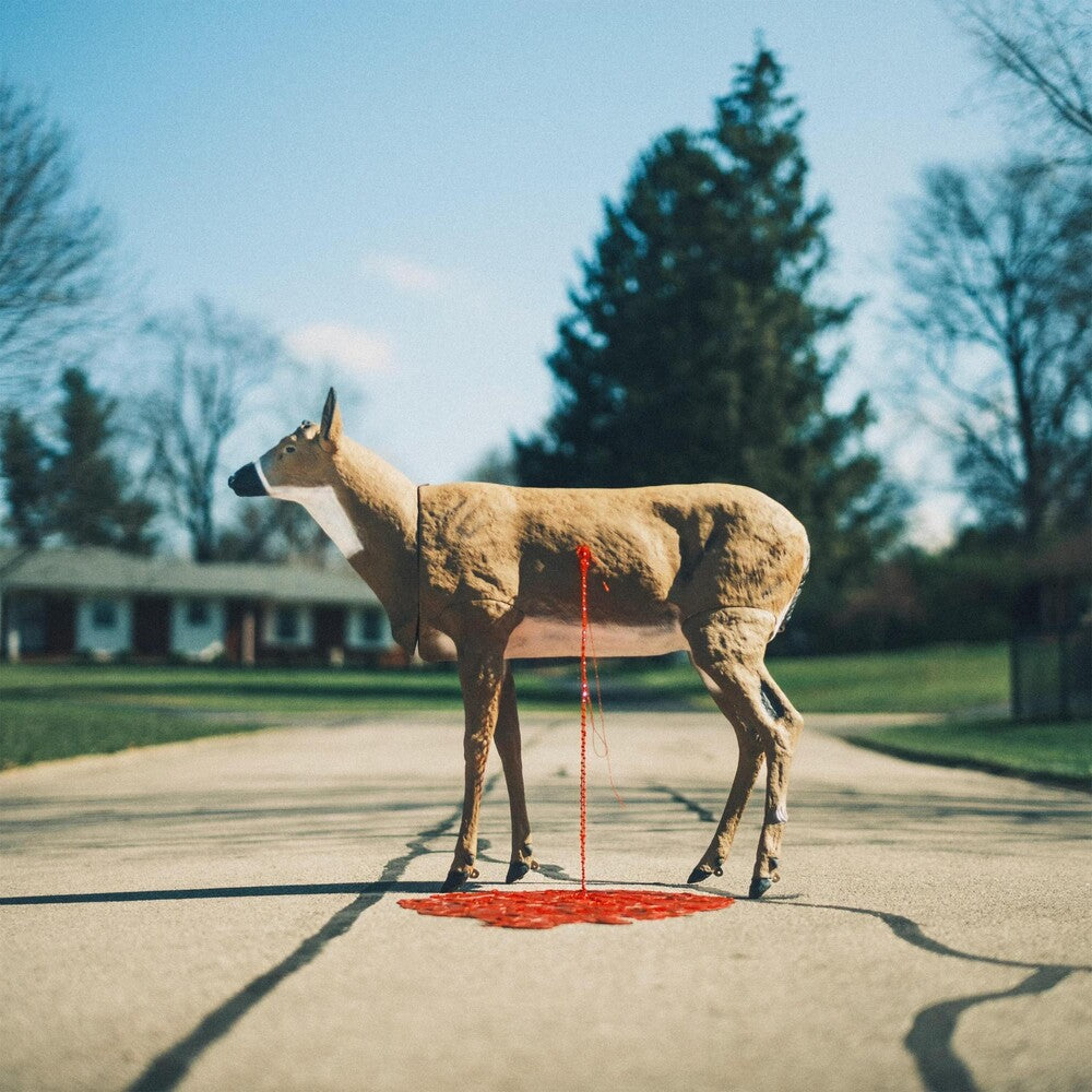 the album cover for Wayne Graham - Bastion [Hardwood Colored LP]