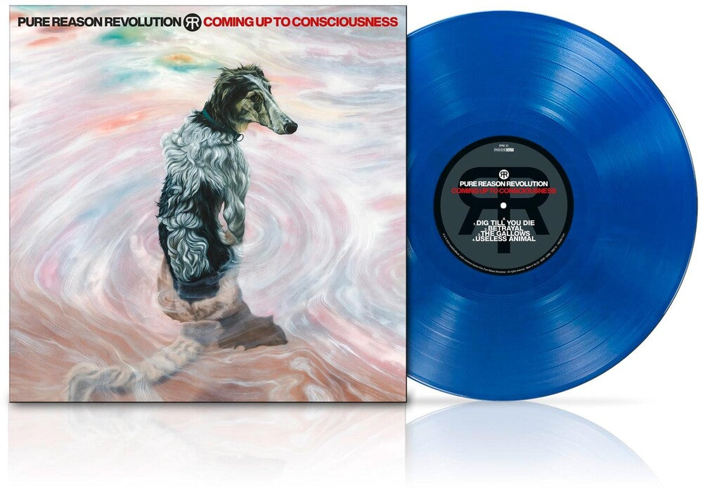 the album cover for Pure Reason Revolution - Coming Up To Consciousness [Colored Vinyl] (Gate) [Limited Edition]