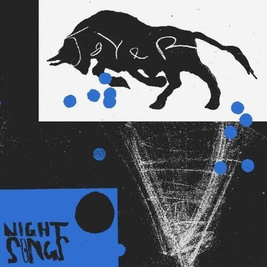 the album cover for Joyer - Night Songs [Clear Vinyl] [Indie Exclusive]