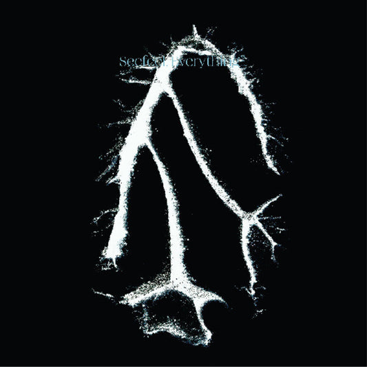 the album cover for Seefeel - Everything Squared