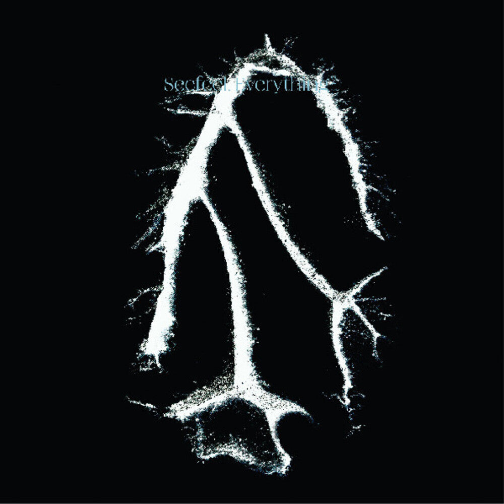 the album cover for Seefeel - Everything Squared [Digipak]