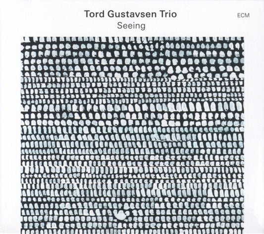 the album cover for Gustavsen, Tord - Seeing