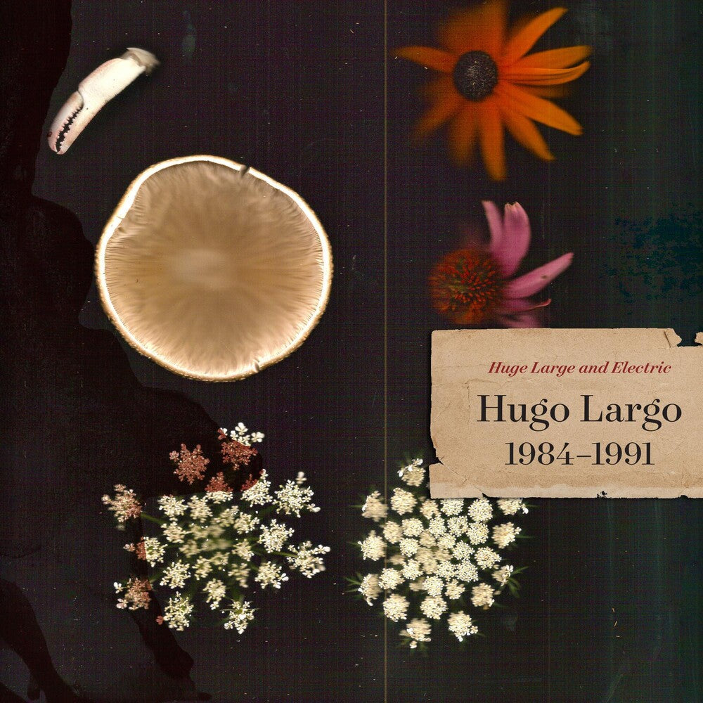 the album cover for Hugo Largo - Huge, Large and Electric: Hugo Largo 1984-1991 [2 CD]