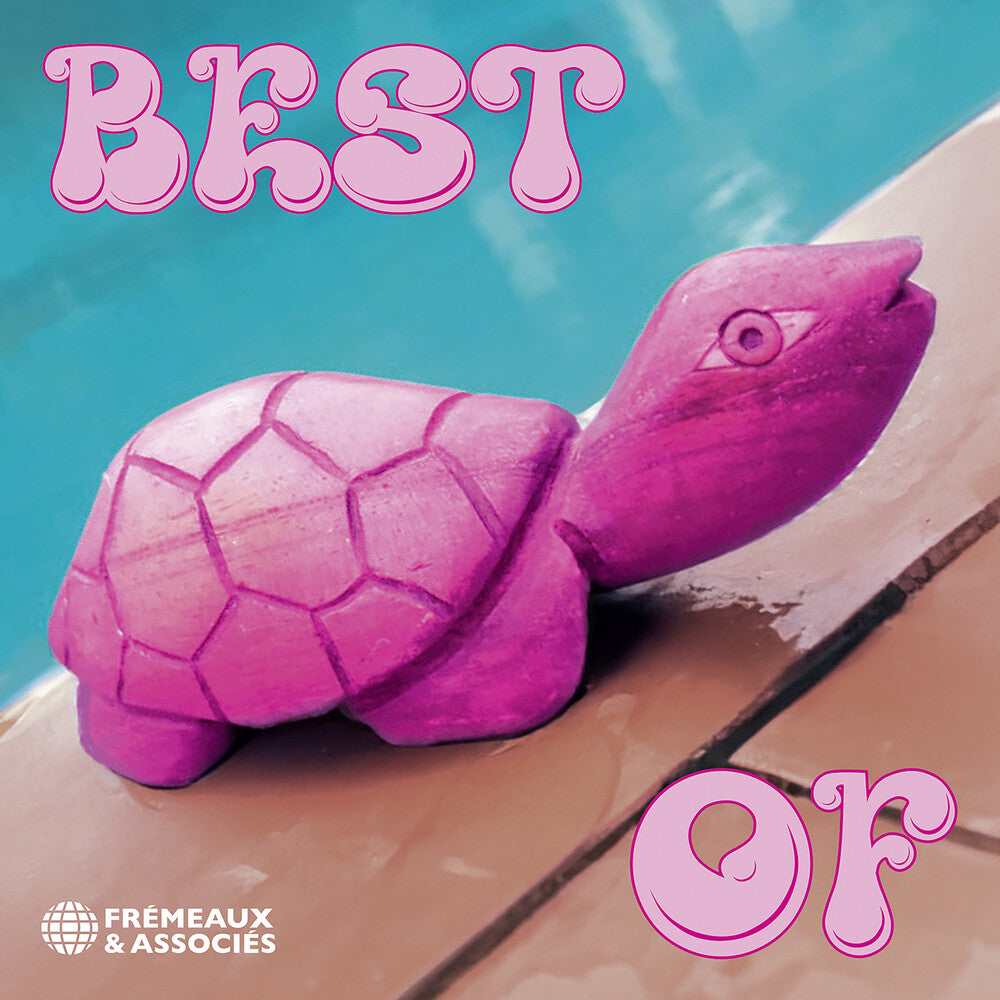 the album cover for Pink Turtle - Best Of